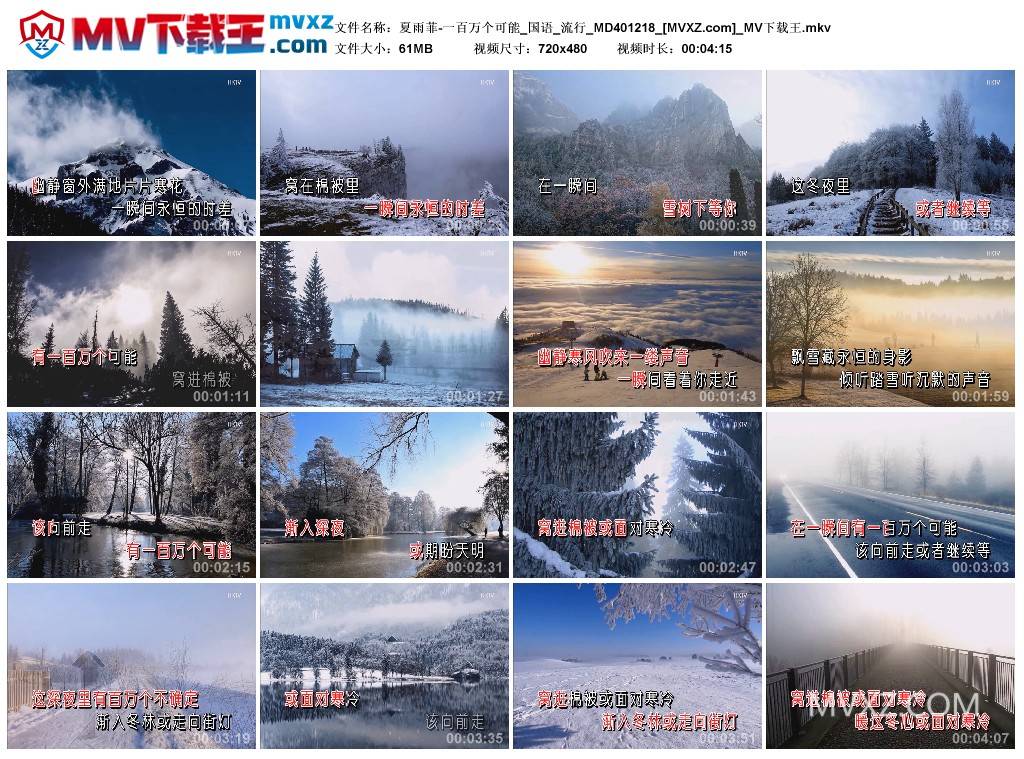 夏雨菲-一百万个可能_国语_流行_MD401218